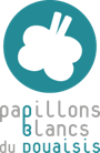 Papillons blancs du Douaisis
